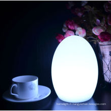 Décorative multicolore Rechargeable Table lumière changeante